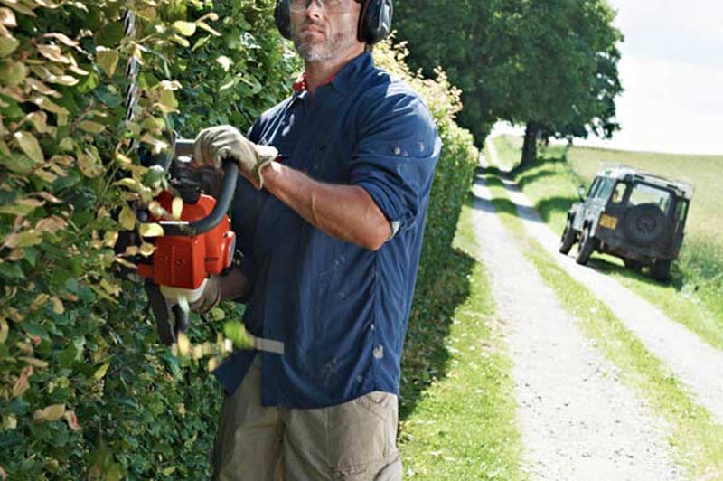 Man Trimming Hedge with Hedge Cutter